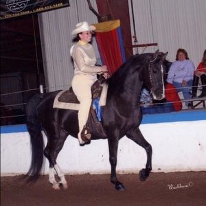 Custom Western Show Outfit